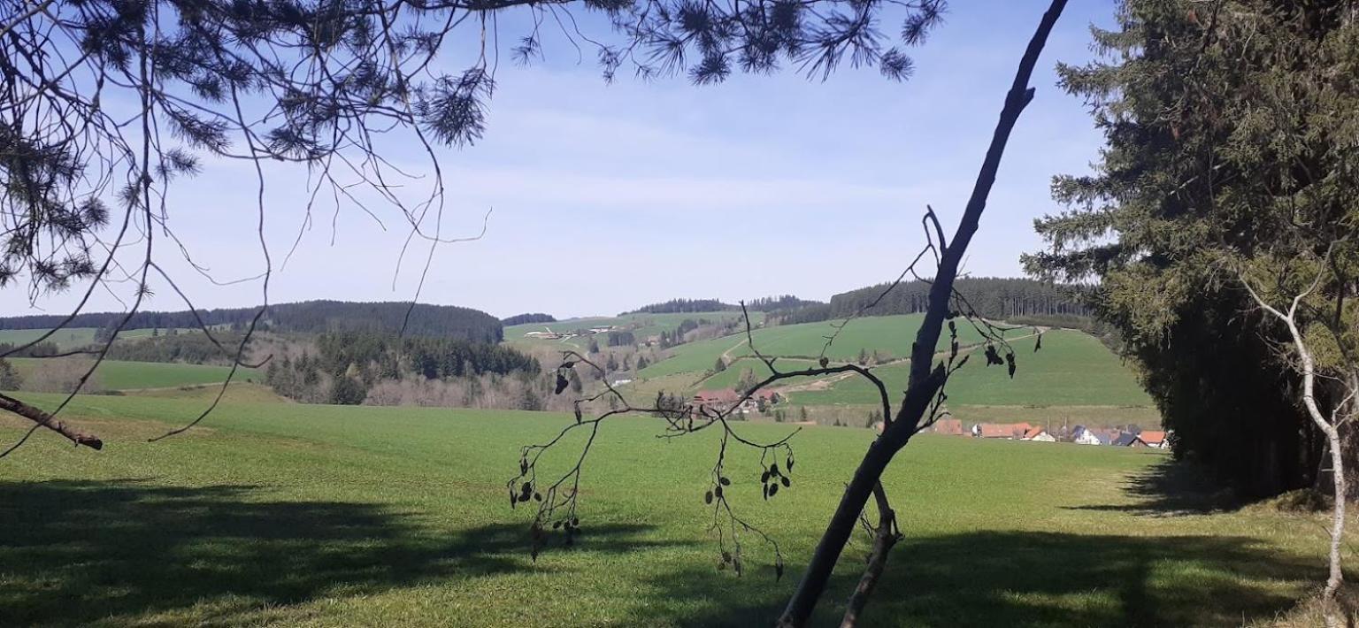 Ferienwohnung Brigachglueck Sankt Georgen im Schwarzwald Kültér fotó