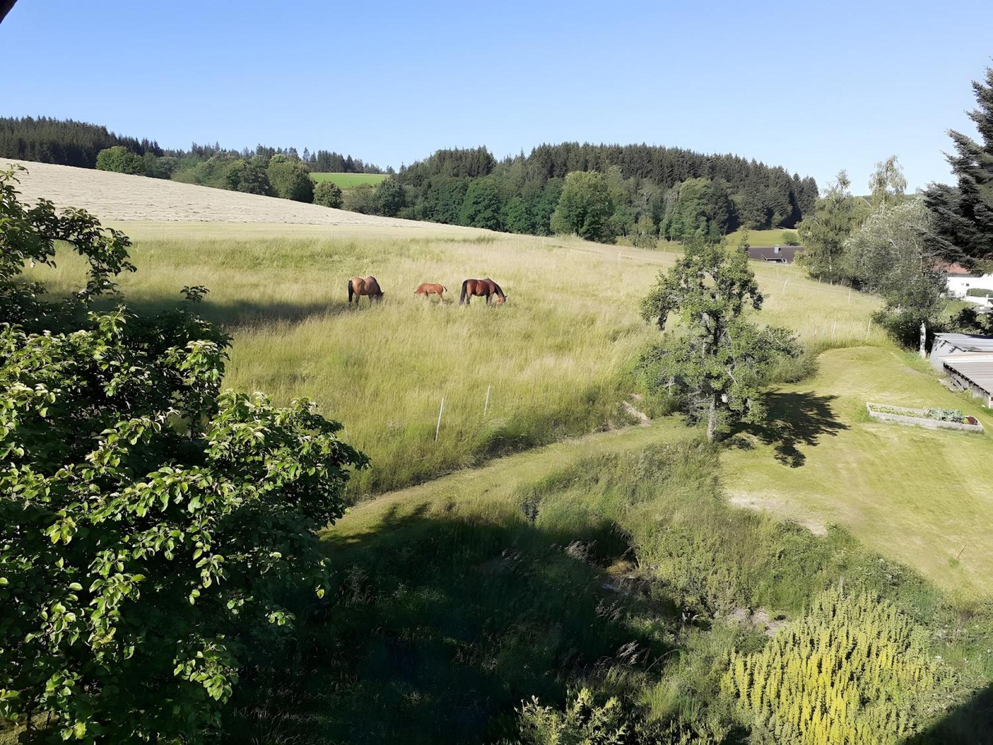 Ferienwohnung Brigachglueck Sankt Georgen im Schwarzwald Kültér fotó